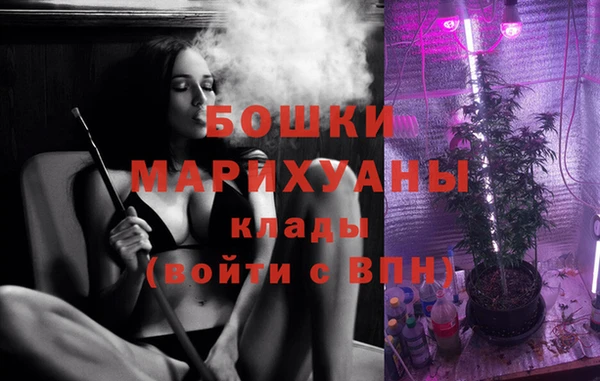спиды Болотное