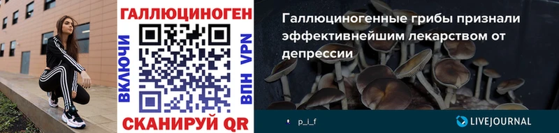 Псилоцибиновые грибы Psilocybe  ОМГ ОМГ ссылка  Голицыно  купить  